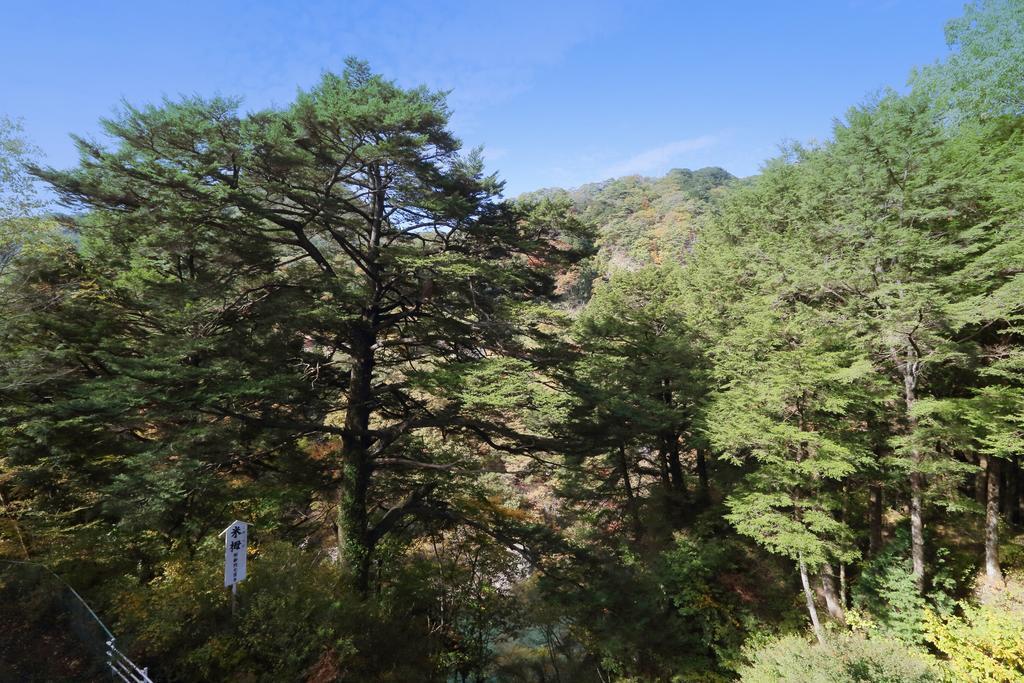 Hotel Tsuganoki Nikko Esterno foto